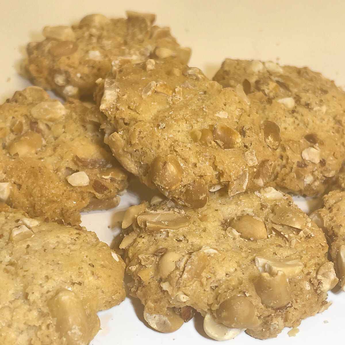 Biscotti all&rsquo;avena